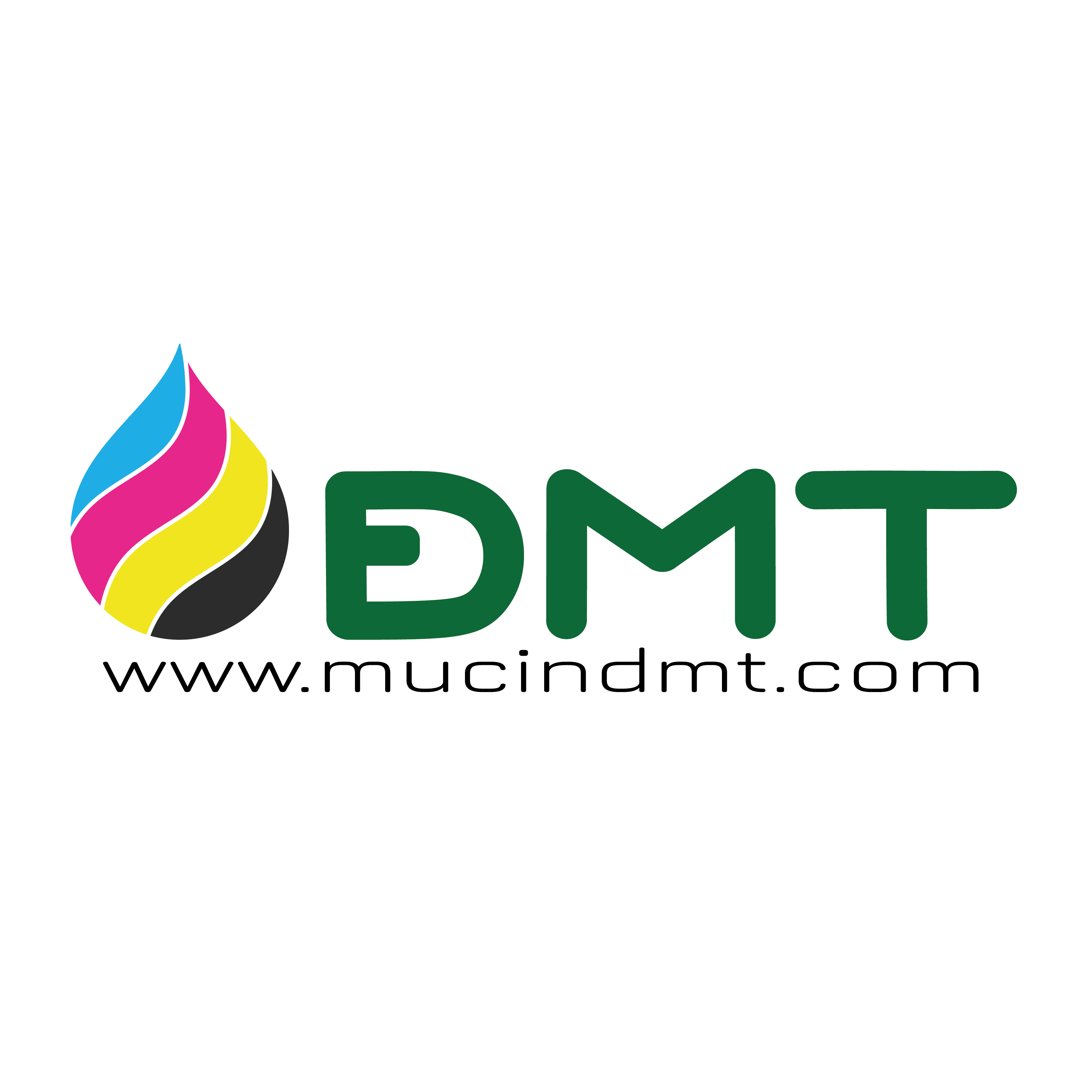 Logo Đại Minh Trung